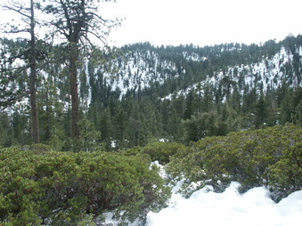 Enlarge photo 16