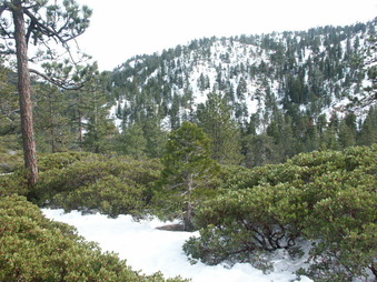 Enlarge photo 17