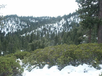 Enlarge photo 18