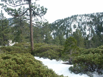 Enlarge photo 19