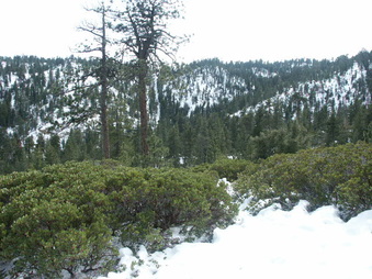 Enlarge photo 20