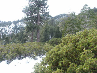 Enlarge photo 21