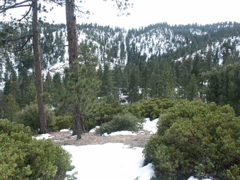 Enlarge photo 22
