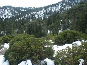 Enlarge photo 23