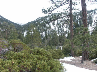Enlarge photo 24