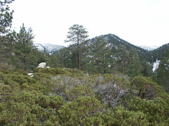 Enlarge photo 25