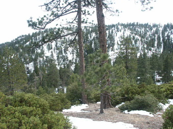 Enlarge photo 26