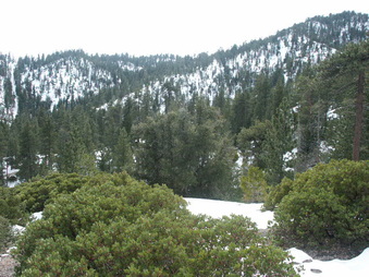 Enlarge photo 27