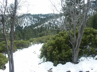 Enlarge photo 28