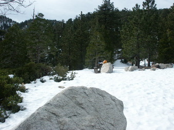Enlarge photo 29