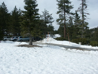Enlarge photo 30