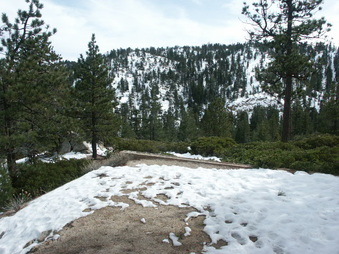 Enlarge photo 31