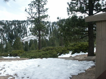 Enlarge photo 32