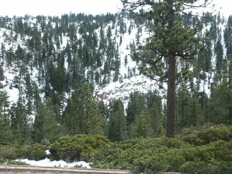 Enlarge photo 33