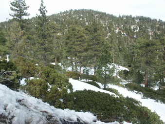 Enlarge photo 34