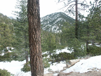 Enlarge photo 35