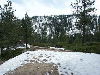 Enlarge photo 36