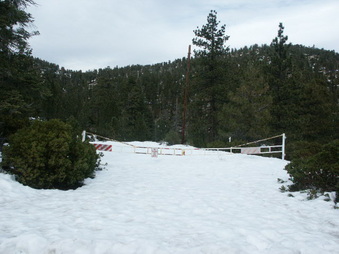 Enlarge photo 37