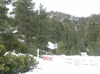 Enlarge photo 38