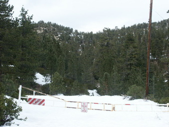 Enlarge photo 39