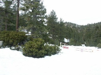 Enlarge photo 42