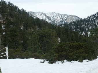 Enlarge photo 43