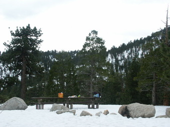 Enlarge photo 45
