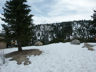 Enlarge photo 47