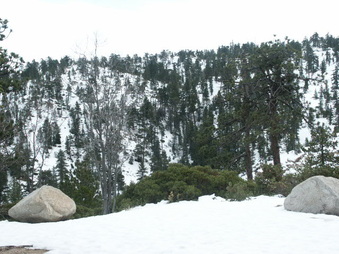 Enlarge photo 48