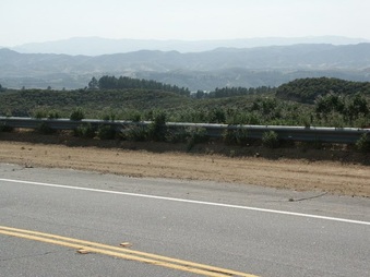 Enlarge photo 10