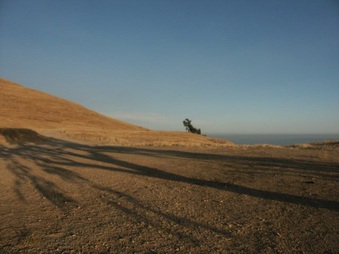 Enlarge photo 25