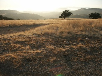 Enlarge photo 30