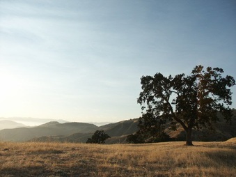 Enlarge photo 34