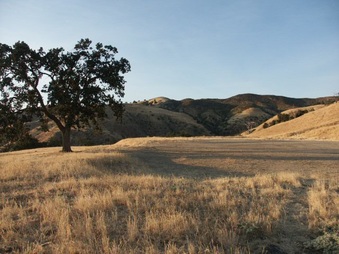 Enlarge photo 35