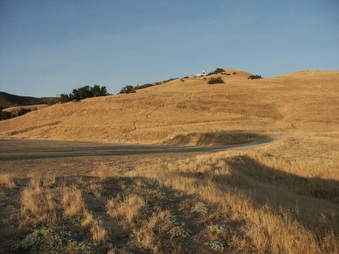 Enlarge photo 36