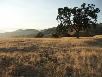 Enlarge photo 37