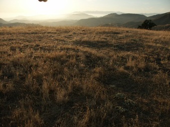 Enlarge photo 38