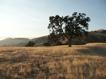 Enlarge photo 39