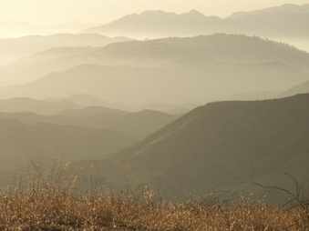 Enlarge photo 41