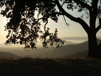 Enlarge photo 42