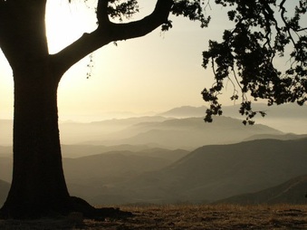 Enlarge photo 44