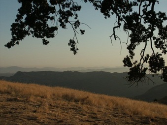 Enlarge photo 46