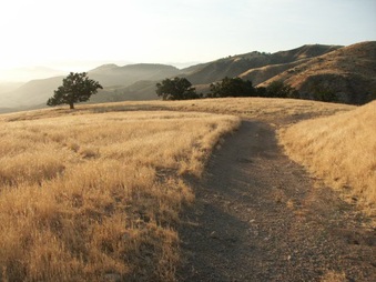 Enlarge photo 48