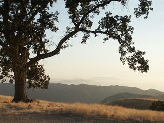 Enlarge photo 53