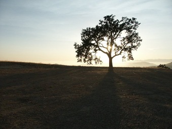 Enlarge photo 57