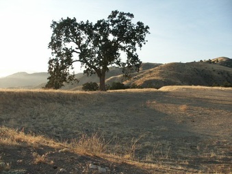 Enlarge photo 60
