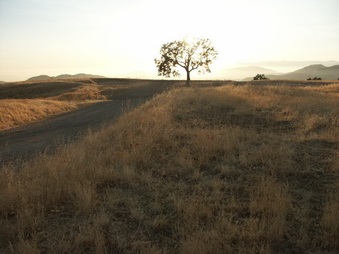 Enlarge photo 62