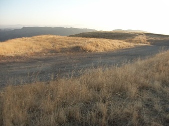 Enlarge photo 63