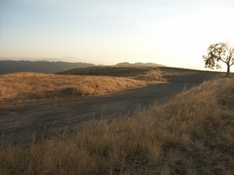 Enlarge photo 67