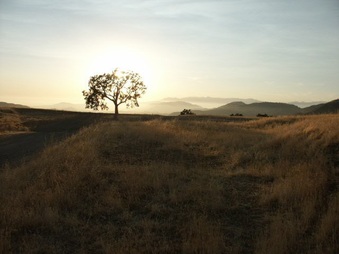 Enlarge photo 68
